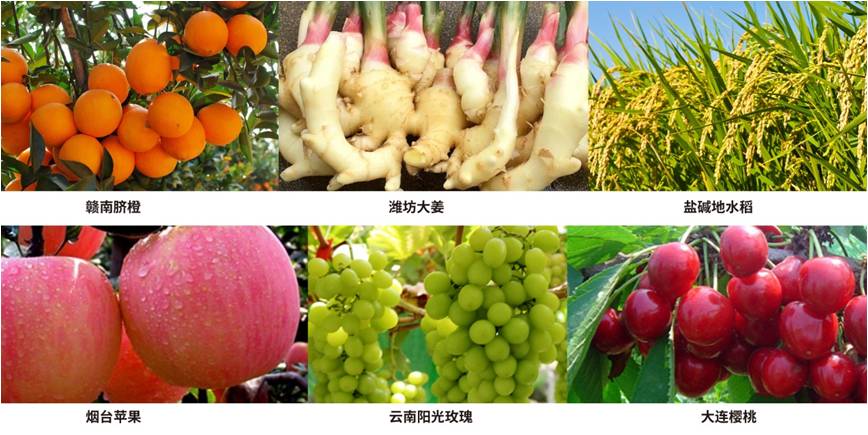 20221026153461.jpg 图片3.jpg