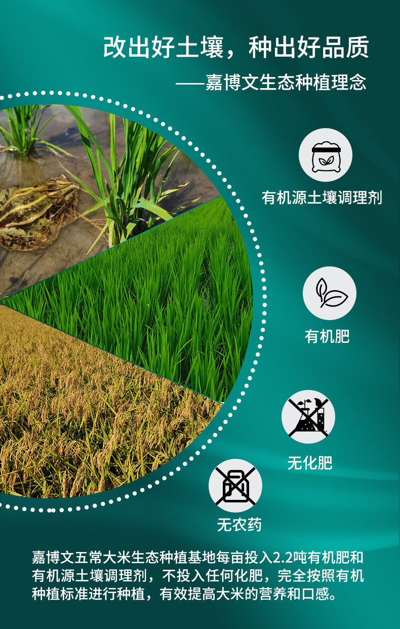 20230922138159.jpg 大米详情修改_04.jpg