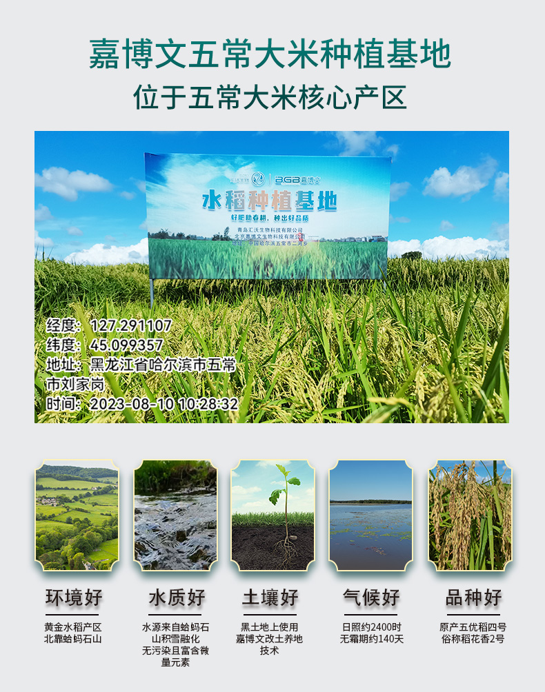 20230922380965.jpg 大米详情修改_03.jpg