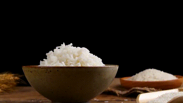 20230922782219.gif 米饭 00_00_00-00_00_30.gif