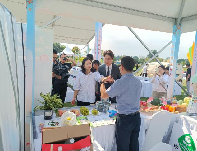 20230927414344.jpg 10.jpg