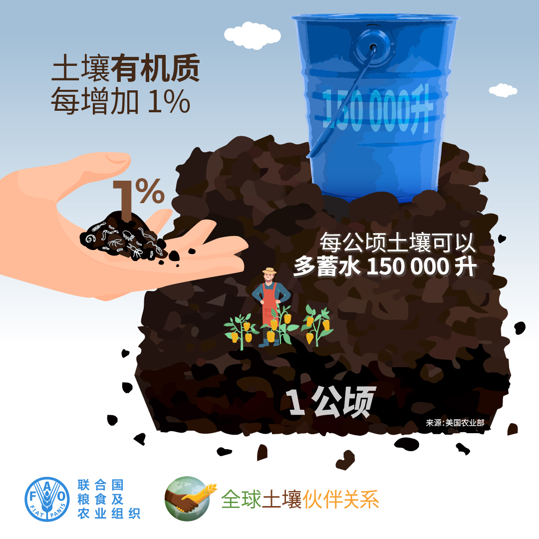 004_SOM_Increase_ZH_new.jpg