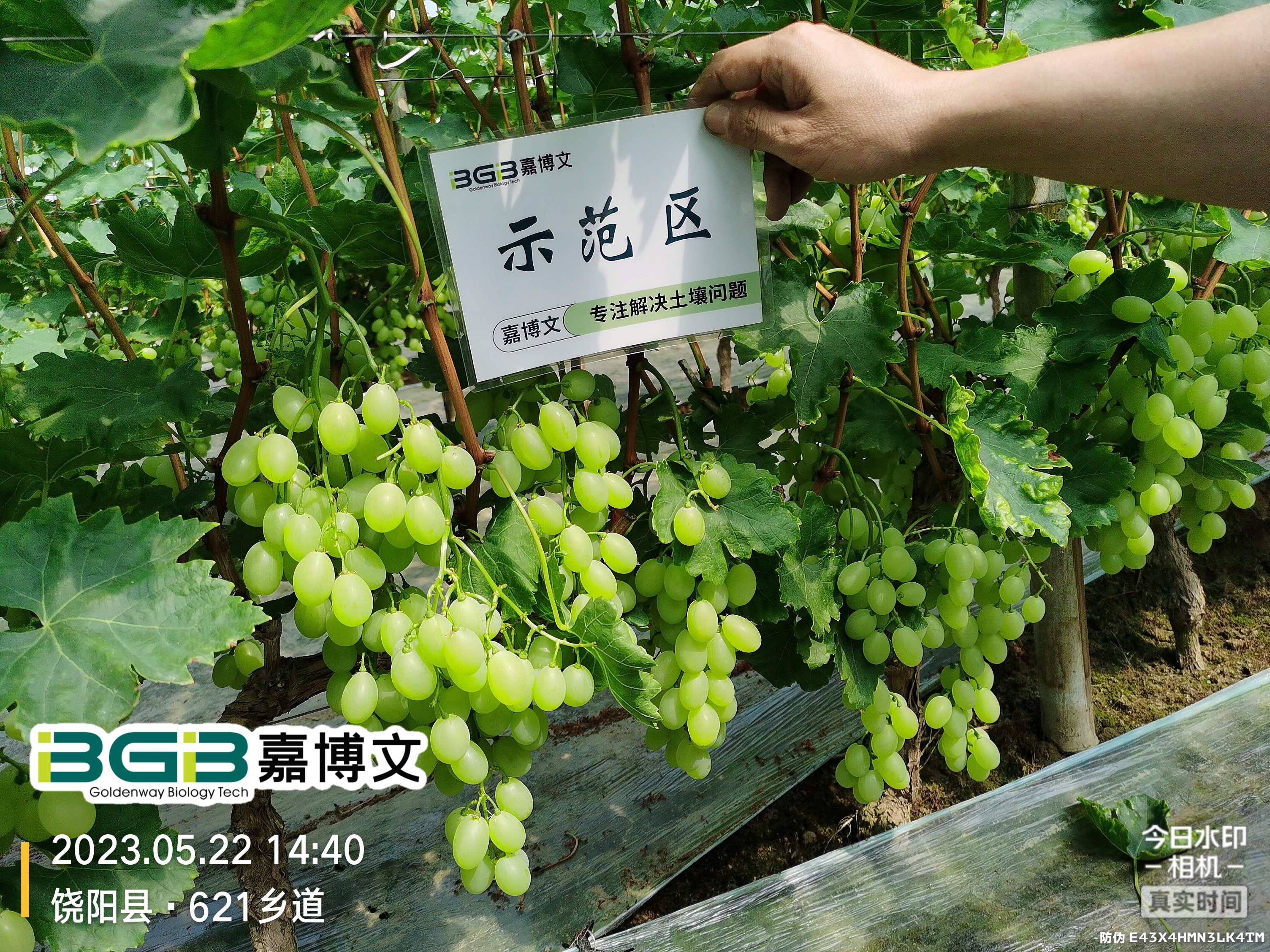 微信图片_20240122164049.jpg